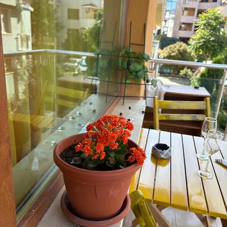 Cozy In Sunny Apartment Slantschew brjag