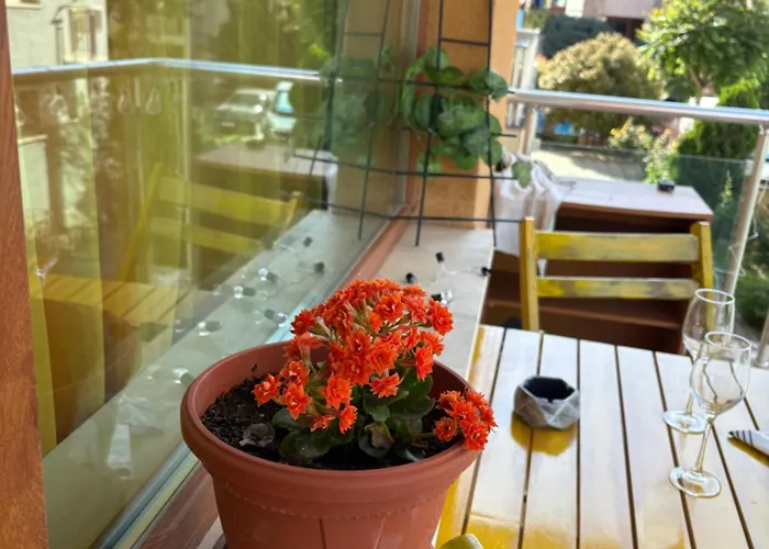 Cozy In Sunny Апартаменты Солнечный берег